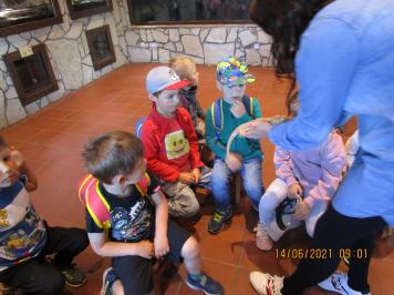 img-2428.JPG