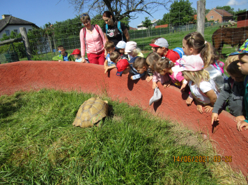img-2434.JPG