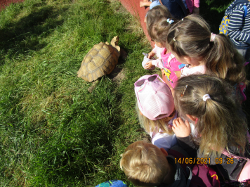 img-2435.JPG