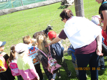 img-2444.JPG