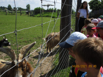 img-2445.JPG