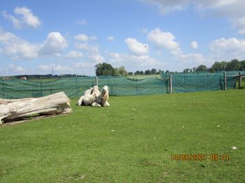img-2446.JPG