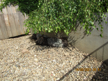 img-2455.JPG