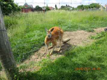 img-2457.JPG