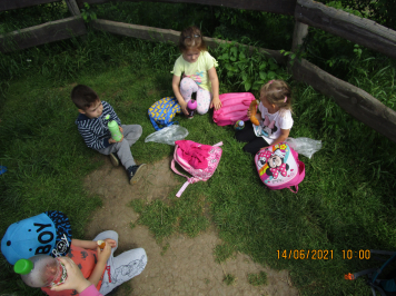 img-2459.JPG