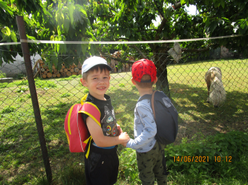 img-2460.JPG