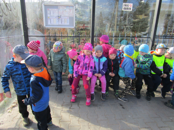 img-3320.JPG