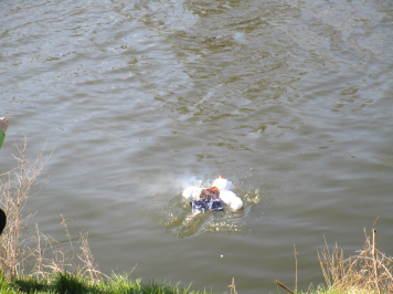 img-3331.JPG