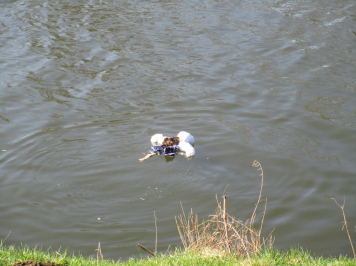 img-3332.JPG