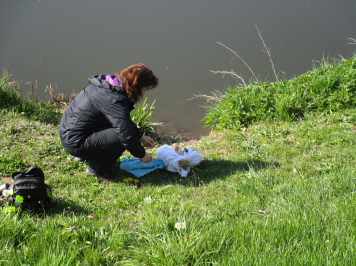 img-0118.JPG