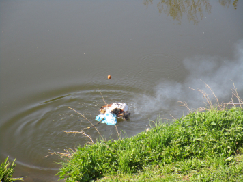 img-0126.JPG