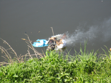 img-0129.JPG