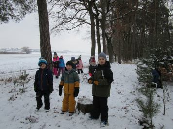 img-2036.JPG