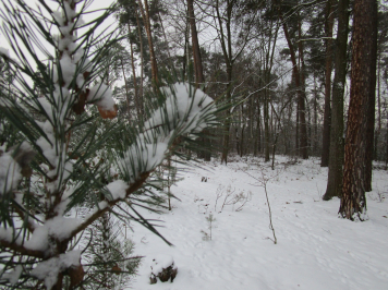 img-2040.JPG