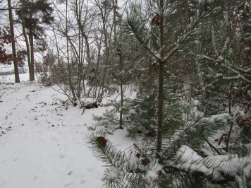 img-2041.JPG