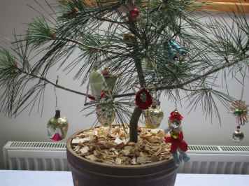 img-4080.JPG