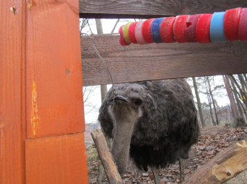 img-4127.JPG