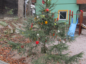 img-4141.JPG