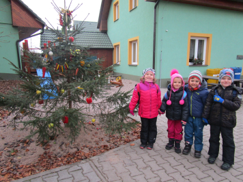 img-8129.JPG