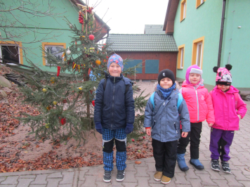 img-8130.JPG
