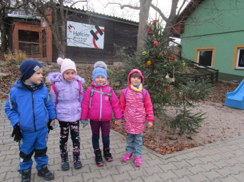 img-8132.JPG