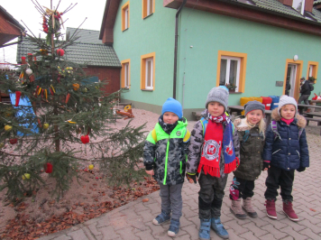 img-8133.JPG