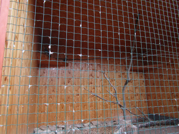 img-8142.JPG