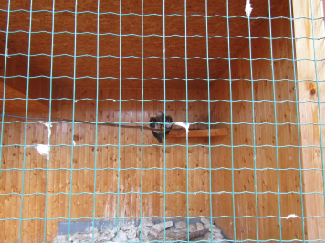 img-8143.JPG