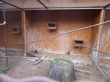 img-8151.JPG