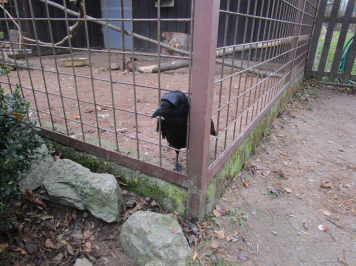 img-8154.JPG