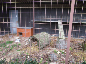 img-8158.JPG