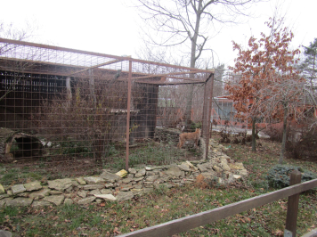 img-8165.JPG