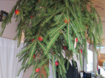 img-8183.JPG