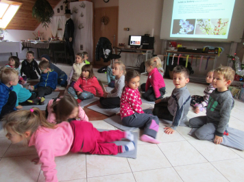 img-8188.JPG