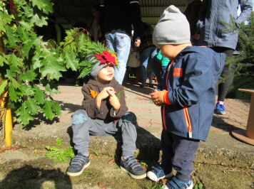 img-1515.JPG