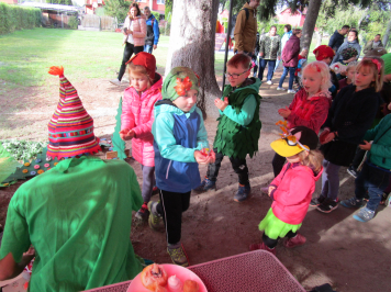 img-1582.JPG