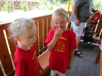 img-0560.JPG