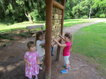 img-0106.JPG
