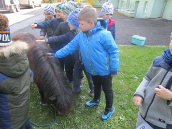 img-1010.JPG