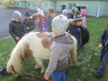 img-1013.JPG
