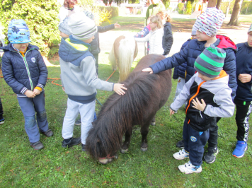 img-1015.JPG