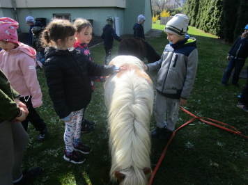 img-1016.JPG