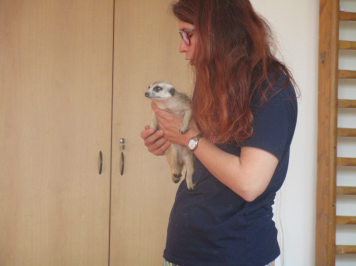img-1023.JPG