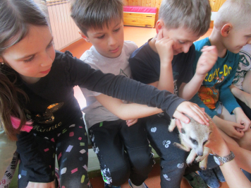 img-1034.JPG