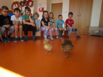 img-1040.JPG
