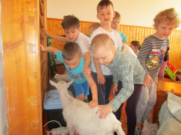 img-1044.JPG