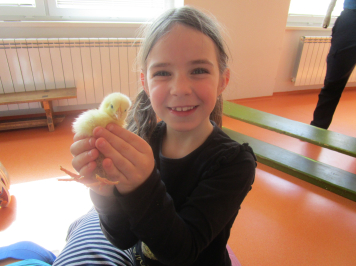 img-1054.JPG