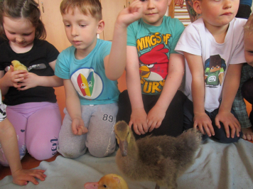 img-1058.JPG