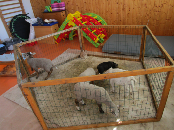 img-0056.JPG