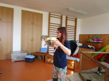 img-0064.JPG